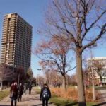 University of Illinois Chicago